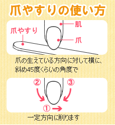 爪やすりの使い方