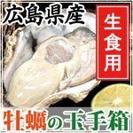 y̋ʎ蔠